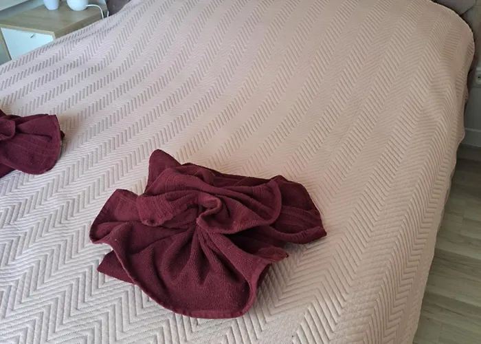 Mild Old Town Klaipėda